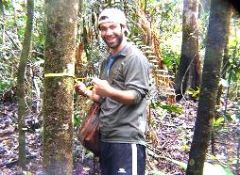 Published  - carbon in rainforest